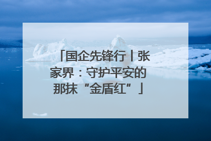国企先锋行丨张家界：守护平安的那抹“金盾红”
