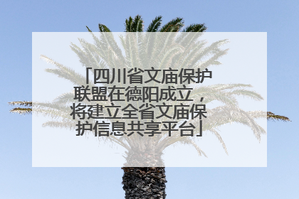 四川省文庙保护联盟在德阳成立，将建立全省文庙保护信息共享平台