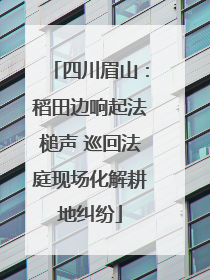 四川眉山：稻田边响起法槌声 巡回法庭现场化解耕地纠纷