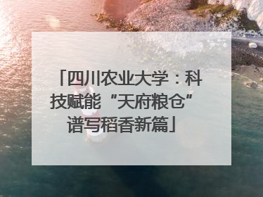 四川农业大学：科技赋能“天府粮仓”谱写稻香新篇