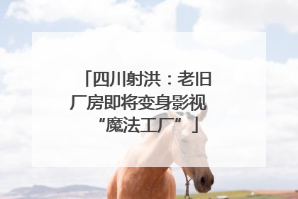 四川射洪：老旧厂房即将变身影视“魔法工厂”