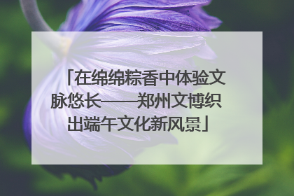 在绵绵粽香中体验文脉悠长——郑州文博织出端午文化新风景