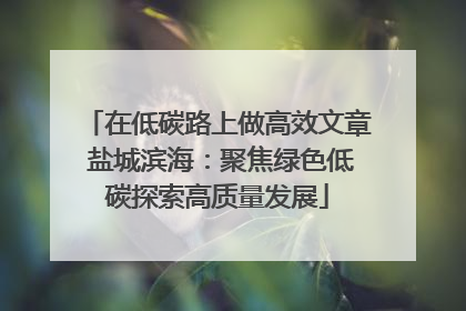 在低碳路上做高效文章 盐城滨海：聚焦绿色低碳探索高质量发展