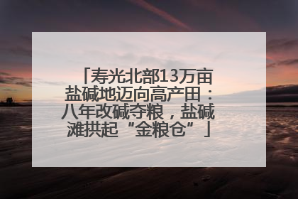 寿光北部13万亩盐碱地迈向高产田：八年改碱夺粮，盐碱滩拱起“金粮仓”