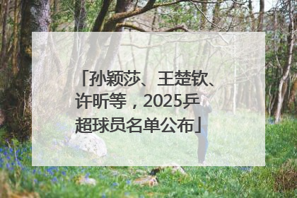 孙颖莎、王楚钦、许昕等,2025乒超球员名单公布