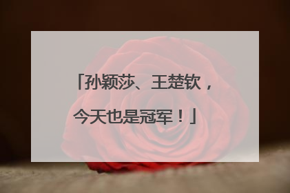 孙颖莎、王楚钦，今天也是冠军！