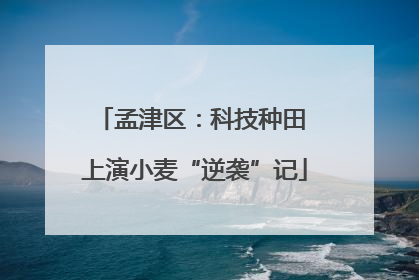 孟津区：科技种田 上演小麦“逆袭”记