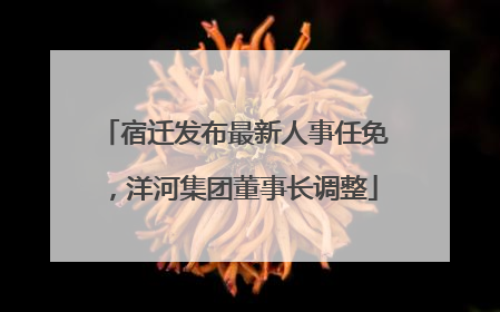 宿迁发布最新人事任免，洋河集团董事长调整