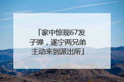 家中惊现67发子弹，遂宁两兄弟主动来到派出所