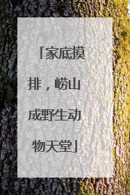 家底摸排，崂山成野生动物天堂