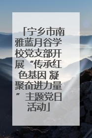 宁乡市南雅蓝月谷学校党支部开展“传承红色基因 凝聚奋进力量”主题党日活动