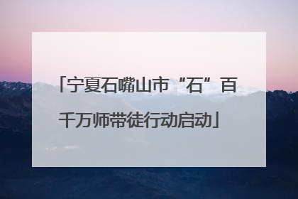 宁夏石嘴山市“石”百千万师带徒行动启动