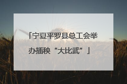 宁夏平罗县总工会举办插秧“大比武”