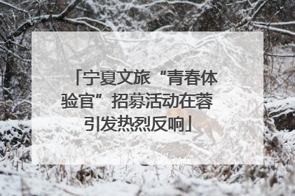 宁夏文旅“青春体验官”招募活动在蓉引发热烈反响