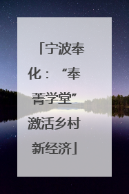 宁波奉化：“奉菁学堂”激活乡村新经济