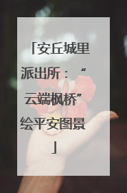 安丘城里派出所：“云端枫桥”绘平安图景