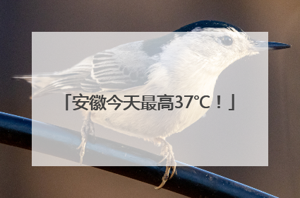 安徽今天最高37℃！