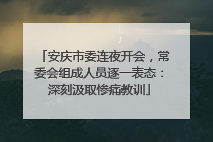 安庆市委连夜开会，常委会组成人员逐一表态：深刻汲取惨痛教训