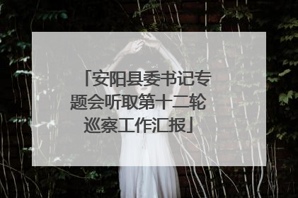 安阳县委书记专题会听取第十二轮巡察工作汇报