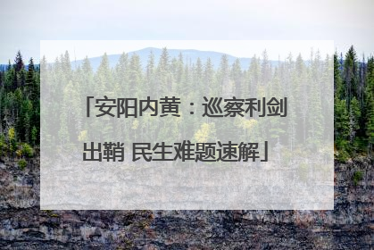 安阳内黄：巡察利剑出鞘 民生难题速解