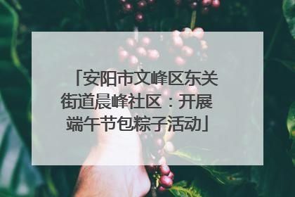 安阳市文峰区东关街道晨峰社区：开展端午节包粽子活动