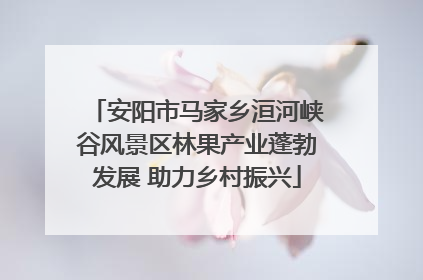 安阳市马家乡洹河峡谷风景区林果产业蓬勃发展 助力乡村振兴