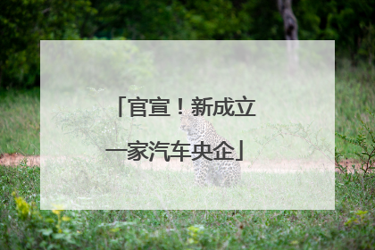 官宣！新成立一家汽车央企
