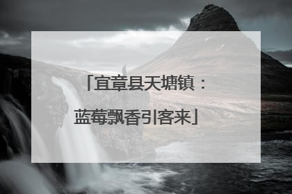 宜章县天塘镇：蓝莓飘香引客来