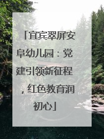 宜宾翠屏安阜幼儿园：党建引领新征程，红色教育润初心