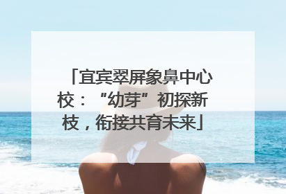 宜宾翠屏象鼻中心校：“幼芽”初探新枝，衔接共育未来