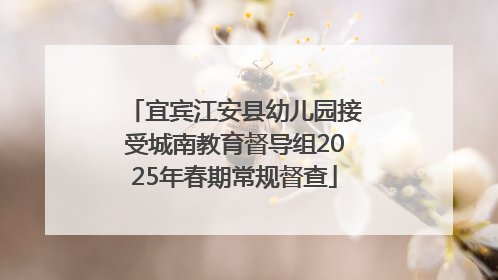 宜宾江安县幼儿园接受城南教育督导组2025年春期常规督查