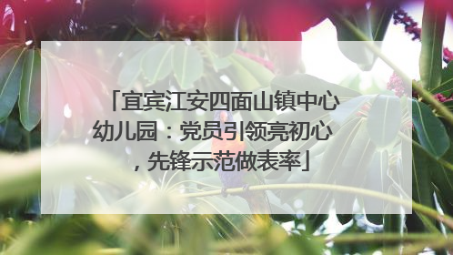 宜宾江安四面山镇中心幼儿园：党员引领亮初心，先锋示范做表率