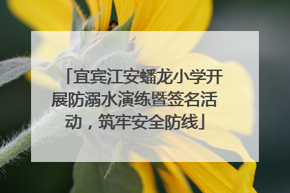 宜宾江安蟠龙小学开展防溺水演练暨签名活动，筑牢安全防线