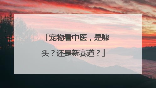 宠物看中医，是噱头？还是新赛道？