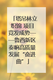 塔吊林立织锦 项目竞发成势——鲁西新区奏响高质量发展“奋进曲”