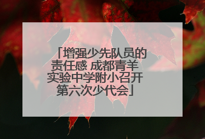 增强少先队员的责任感 成都青羊实验中学附小召开第六次少代会
