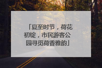 夏至时节，荷花初绽，市民游客公园寻觅荷香雅韵