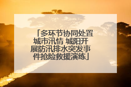 多环节协同处置城市汛情 城阳开展防汛排水突发事件抢险救援演练