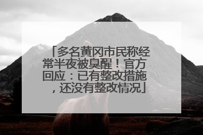 多名黄冈市民称经常半夜被臭醒！官方回应：已有整改措施，还没有整改情况