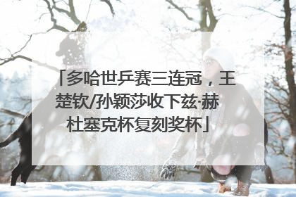多哈世乒赛三连冠，王楚钦/孙颖莎收下兹·赫杜塞克杯复刻奖杯
