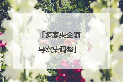 多家央企领导密集调整