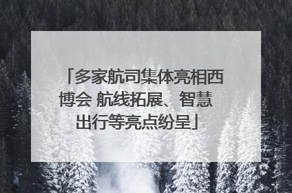 多家航司集体亮相西博会 航线拓展、智慧出行等亮点纷呈