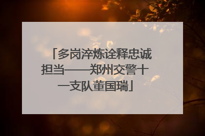 多岗淬炼诠释忠诚担当——郑州交警十一支队董国瑞