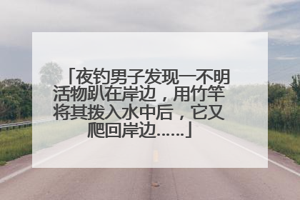 夜钓男子发现一不明活物趴在岸边，用竹竿将其拨入水中后，它又爬回岸边……