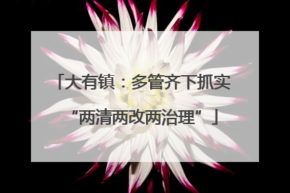 大有镇：多管齐下抓实“两清两改两治理”