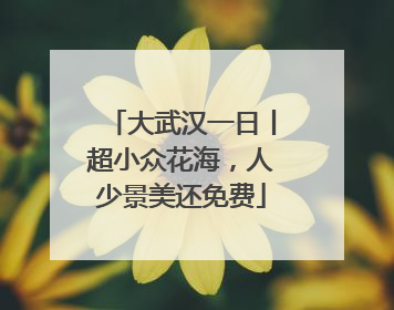 大武汉一日丨超小众花海，人少景美还免费