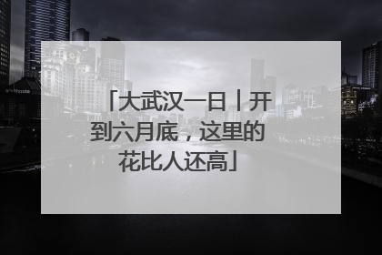 大武汉一日︱开到六月底，这里的花比人还高