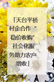 天台平桥村企合作“稳价收购” 社会化服务助力农户增收