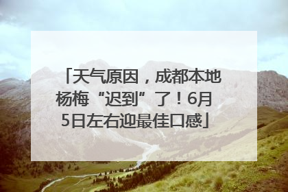 天气原因，成都本地杨梅“迟到”了！6月5日左右迎最佳口感