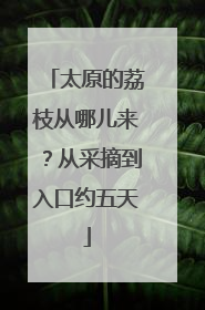 太原的荔枝从哪儿来？从采摘到入口约五天